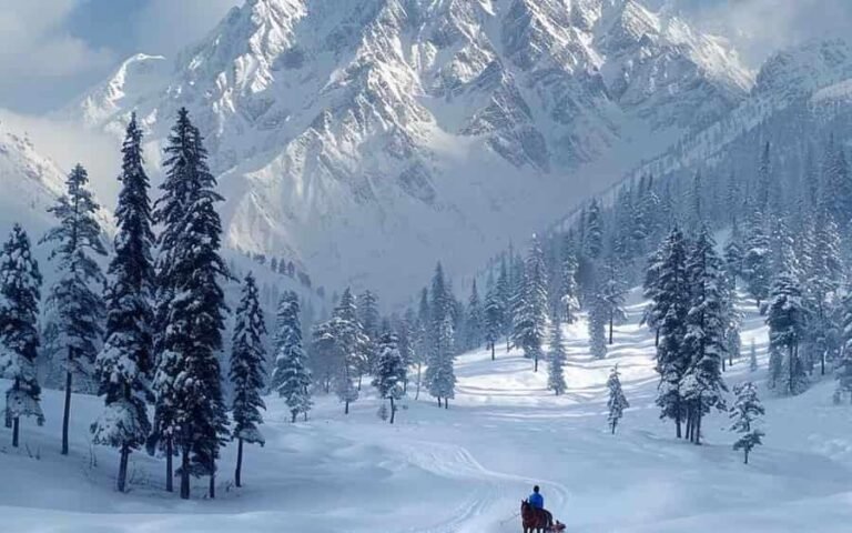 Wintry-White-Experience-in-Kashmir