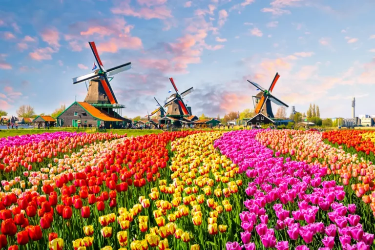 iStock-937057490-MOBILE_HEADER